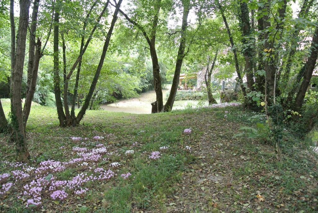 Moulin De Repassat Etape Voie Verte Bazens 外观 照片